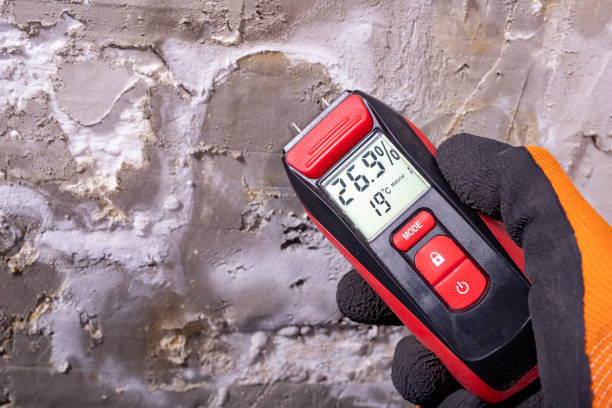 Crawl Space Mold Removal in Corydon, IN